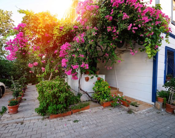 Bahçe Manzaralı Daire (No.2)