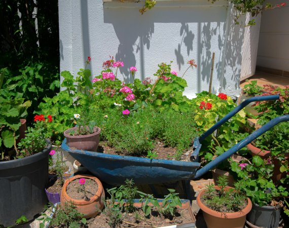 Bahçe Manzaralı Daire (No.2)