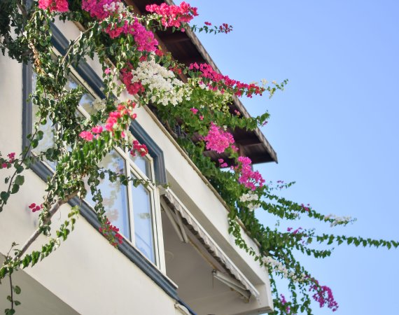 Terrace Daire, Deniz Manzaralı (No.6)